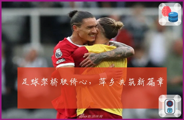 足球架桥联侨心，萍乡共筑新篇章