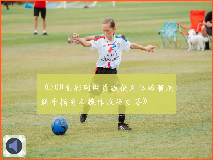 《500竞彩网网页版使用体验解析:新手指南及操作技巧分享》